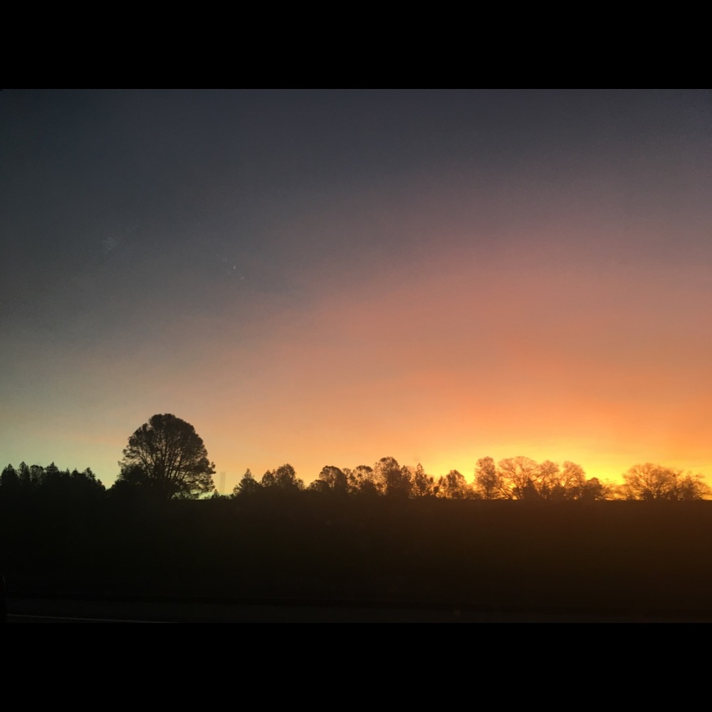 Meet your Posher, Kearney